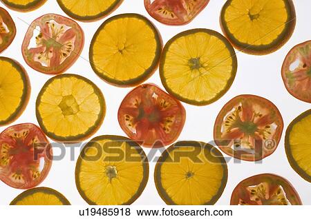 Close-up of orange and tomato slices View Large Photo Image Stock Photo - Close-up of orange and tomato slices. Fotosearch