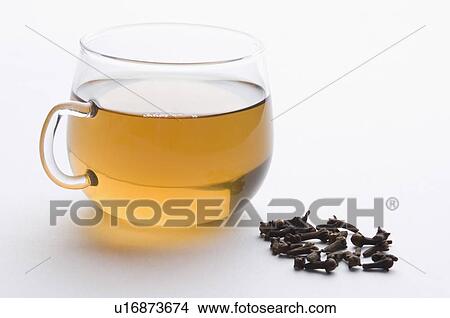 Close-up of a cup of herbal tea with cloves View Large Photo Image Picture - Close-up of a cup of herbal tea with cloves. Fotosearch