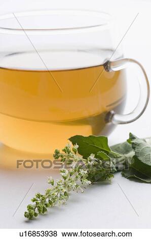 Stock Photo - Close-up of a cup of herbal tea with mint leaf. Fotosearch
