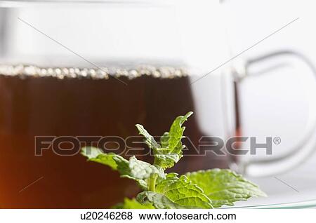 Stock Photo - Close-up of a cup of herbal tea with mint leaf in a saucer. Fotosearch