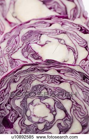 Close-up of slices of a cabbage View Large Photo Image Stock Photography - Close-up of slices of a cabbage. Fotosearch