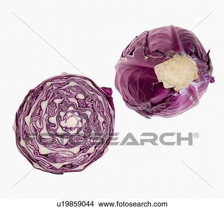 Picture - Close-up of two cross sections of a cabbage. Fotosearch