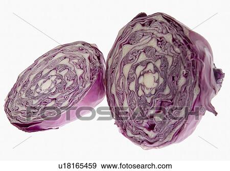 Close-up of two cross sections of a cabbage View Large Photo Image Stock Photo - Close-up of two cross sections of a cabbage. Fotosearch