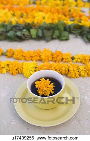 Stock Photograph - High angle view of a Marigold in a cup of tea. Fotosearch