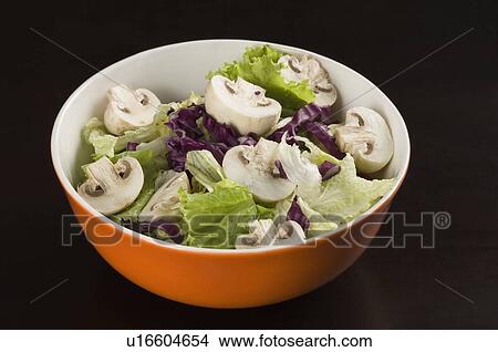 Close-up of a bowl of vegetable salad View Large Photo Image Picture - Close-up of a bowl of vegetable salad. Fotosearch