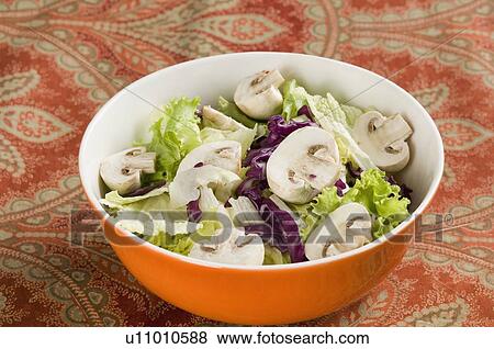 Close-up of a bowl of vegetable salad View Large Photo Image Stock Photo - Close-up of a bowl of vegetable salad. Fotosearch