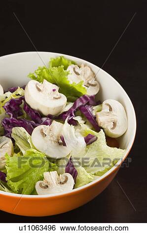 Close-up of a bowl of vegetable salad View Large Photo Image Stock Photograph - Close-up of a bowl of vegetable salad. Fotosearch