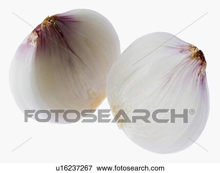 Close-up of cross sections of an onion View Large Photo Image Stock Photo - Close-up of cross sections of an onion. Fotosearch
