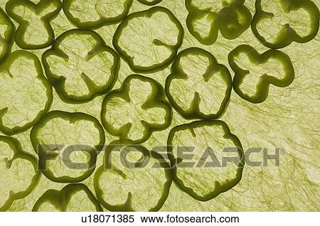 Close-up of green bell pepper slices View Large Photo Image Stock Photography - Close-up of green bell pepper slices. Fotosearch
