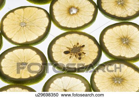 Close-up of lemon slices View Large Photo Image Stock Image - Close-up of lemon slices. Fotosearch