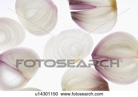 Close-up of onion slices View Large Photo Image Stock Image - Close-up of onion slices. Fotosearch