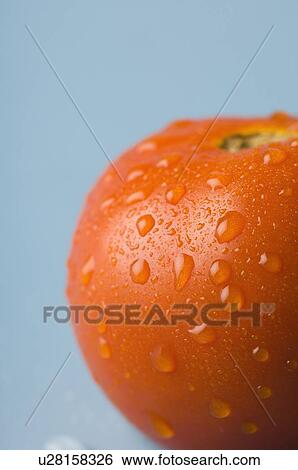 Stock Photograph - Close-up of water droplets on a tomato. Fotosearch
