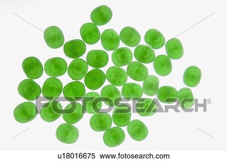 Stock Photography - High angle view of green candies. Fotosearch