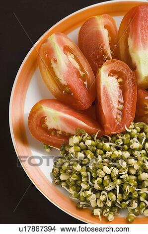 Close-up of bean sprouts and tomato slices in a plate View Large Photo Image Picture - Close-up of bean sprouts and tomato slices in a plate. Fotosearch