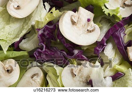 Close-up of vegetable salad View Large Photo Image Stock Image - Close-up of vegetable salad. Fotosearch
