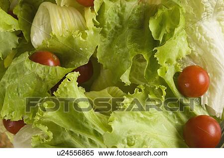 Stock Photography - Close-up of vegetable salad. Fotosearch
