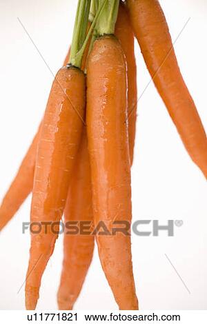 Stock Image - Bunch of carrots hanging vertically. Fotosearch