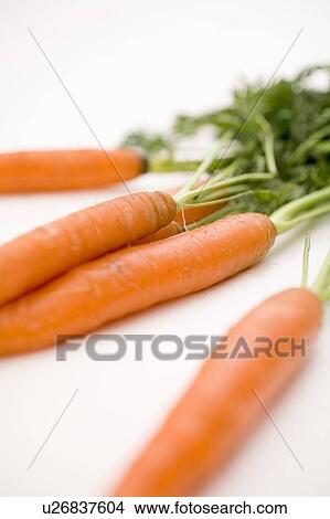 Picture - Bunch of carrots. Fotosearch