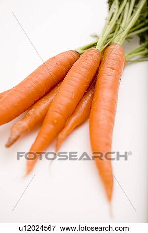 Stock Photo - Bunch of carrots. Fotosearch