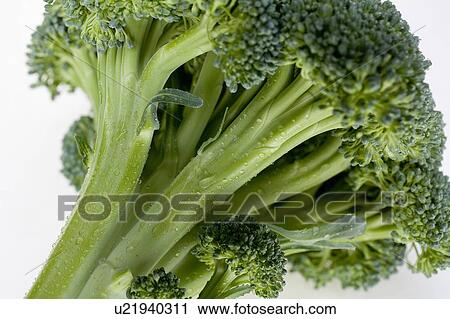Stock Image - Close-up of broccoli. Fotosearch