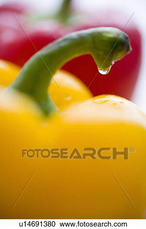 Stock Image - Close-up of droplet on stem of yellow yellow. Fotosearch