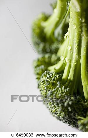 Close-up of section of broccoli View Large Photo Image Stock Image - Close-up of section of broccoli. Fotosearch