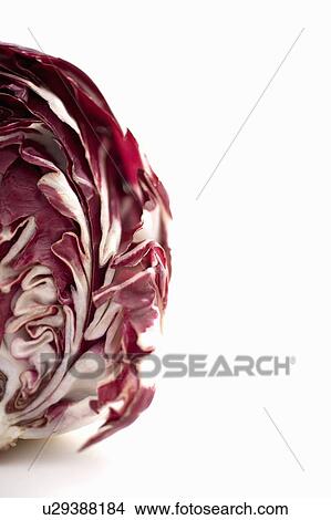Head of radicchio, cut open View Large Photo Image Picture - Head of radicchio, cut open. Fotosearch