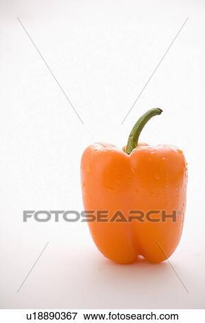 Stock Photo - Single orange pepper. Fotosearch