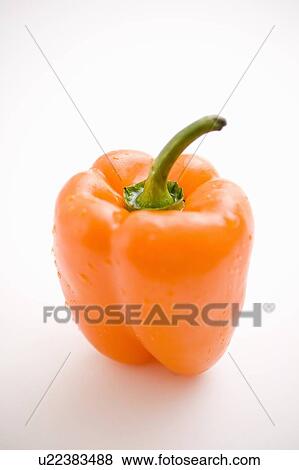 Stock Photo - Single orange pepper. Fotosearch