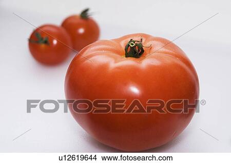 Picture - Tomatoes. Fotosearch