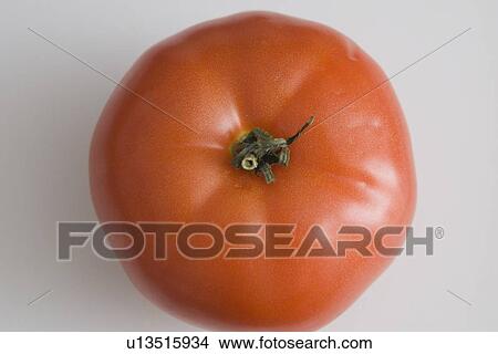 Top view of tomato View Large Photo Image Picture - Top view of tomato. Fotosearch