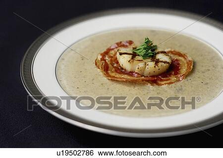 Bowl of Truffled Forest Mushroom Soup with grilled pancetta and scallop garnish View Large Photo Image Stock Photograph - Bowl of Truffled Forest Mushroom Soup with grilled pancetta and scallop garnish. Fotosearch