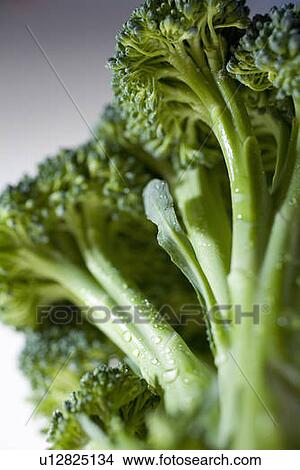 Picture - Close-up of broccoli. Fotosearch
