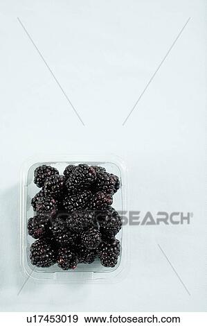 Stock Photo - Container of blackberries from above. Fotosearch