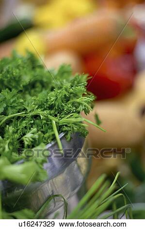 Stock Photo - Curly Parsley in stainless steel bowl with chives, squash, and red pepper. Fotosearch