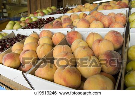 Stock Photograph - Fresh fruit at a roadside fruit stand, Keremeos, BC, Canada. Fotosearch