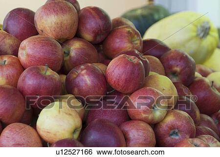 Organic Apples and squash View Large Photo Image Stock Photograph - Organic Apples and squash. Fotosearch
