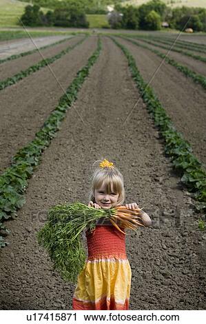 Young girl holding bunch of carrots, standing in vegetable field, Saskatchewan, Canada View Large Photo Image Stock Image - Young girl holding bunch of carrots, standing in vegetable field, Saskatchewan, Canada. Fotosearch