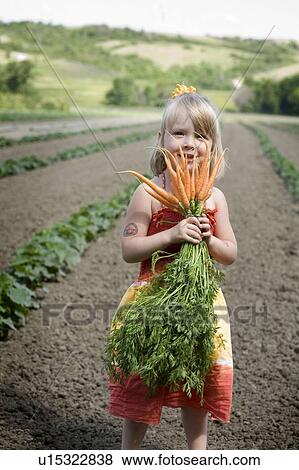 Young girl holds garden fresh carrots, Lumsden, Saskatchewan, Canada View Large Photo Image Stock Photo - Young girl holds garden fresh carrots, Lumsden, Saskatchewan, Canada. Fotosearch
