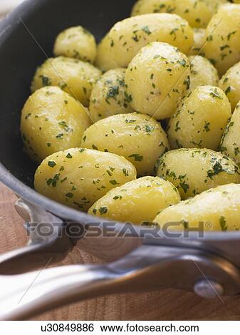 Buttered New Potatoes with Parsley View Large Photo Image Stock Photograph - Buttered New Potatoes with Parsley. Fotosearch