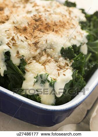 Stock Photo - Curly Kale with Cheese Sauce Caraway Seeds and Breadcrumbs. Fotosearch