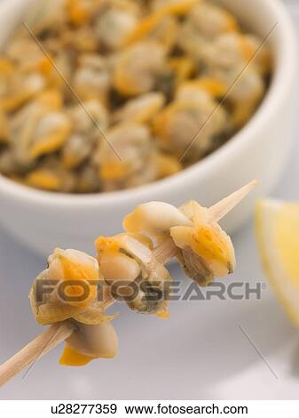 Pickled Cockles on a Cocktail Stick View Large Photo Image Stock Photo - Pickled Cockles on a Cocktail Stick. Fotosearch