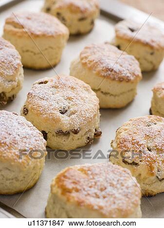 Stock Photo - Tray of Fruit Scones. Fotosearch