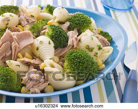 Picture - Tuna and Broccoli Pasta Shells. Fotosearch