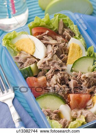 Tuna Salad Lunch Box View Large Photo Image Picture - Tuna Salad Lunch Box. Fotosearch