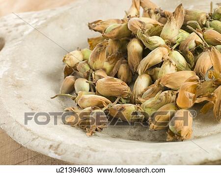 Stock Image - Cob nuts. Fotosearch
