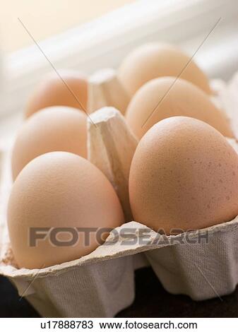 Fresh eggs in box View Large Photo Image Stock Image - Fresh eggs in box. Fotosearch