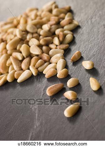 Pine nuts View Large Photo Image Stock Photograph - Pine nuts. Fotosearch