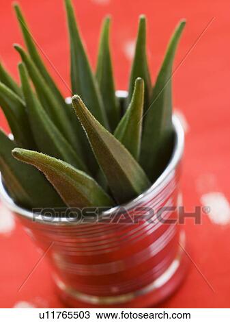 Pot filled with Okra View Large Photo Image Stock Image - Pot filled with Okra. Fotosearch