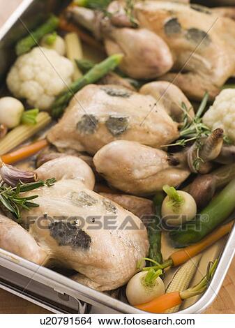 Roasting Tray of Black Truffled Poussins with Baby Spring Vegetables View Large Photo Image Picture - Roasting Tray of Black Truffled Poussins with Baby Spring Vegetables. Fotosearch